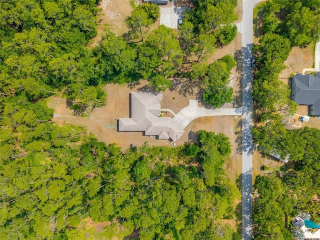 7340 W Dr, Wesley Chapel, FL 33544 - aerial view
