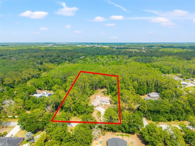 7340 W Dr, Wesley Chapel, FL 33544 - bird's eye view with a wooded view