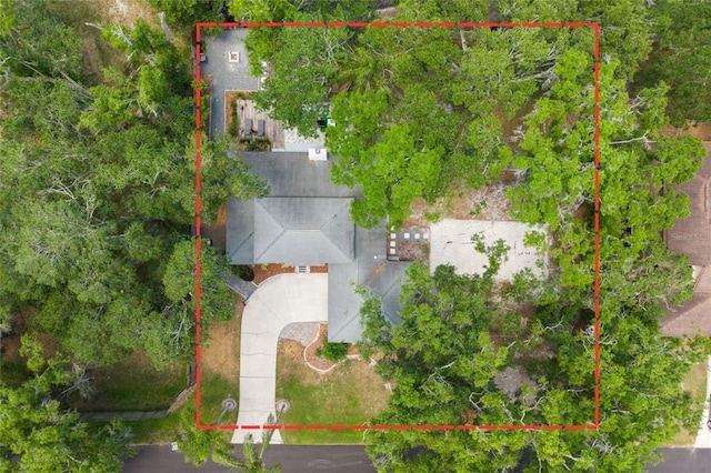 drone / aerial view
