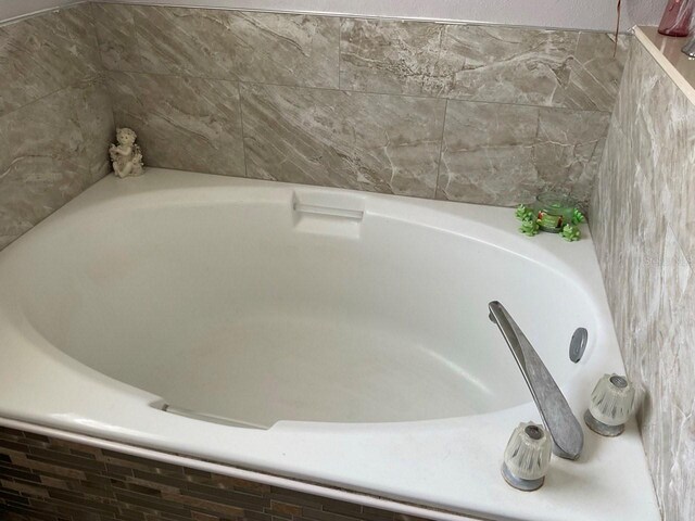 11727 Spanish Lake Dr, Tampa, FL 33635 - details featuring a bathing tub