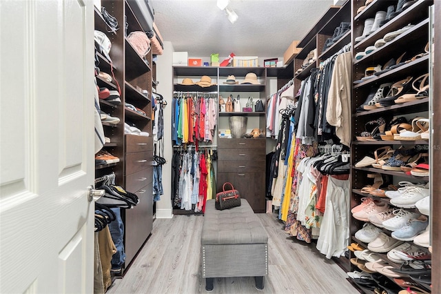 walk in closet featuring wood finished floors