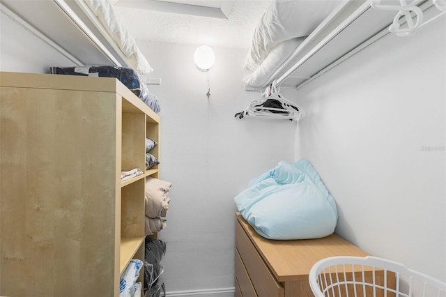 337 Rex Pl Unit G, Madeira Beach, FL 33708 - view of walk in closet