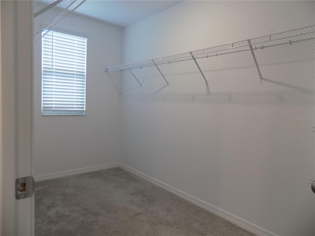 9411 Lemon Drop Loop, Sun City Center, FL 33573 - photo 28