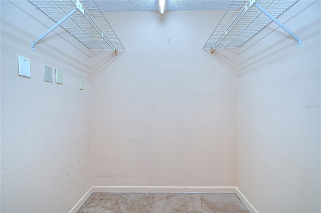 walk in closet featuring light colored carpet
