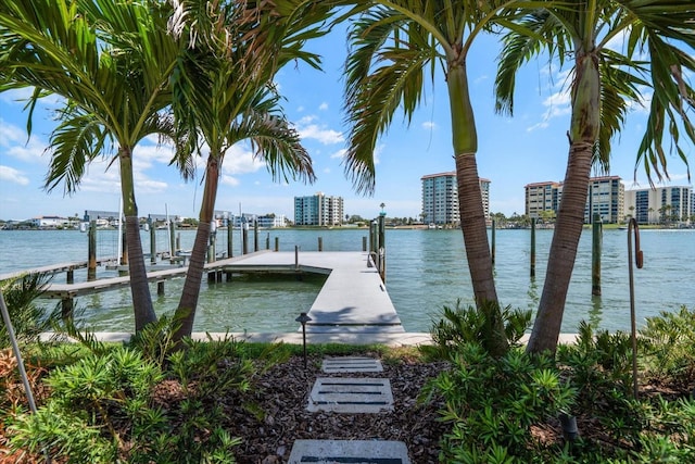 dock area featuring a water view