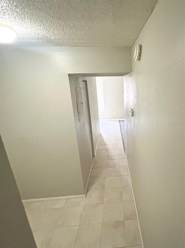7506 Presley Pl Unit 107, Tampa, FL 33617 - photo 11