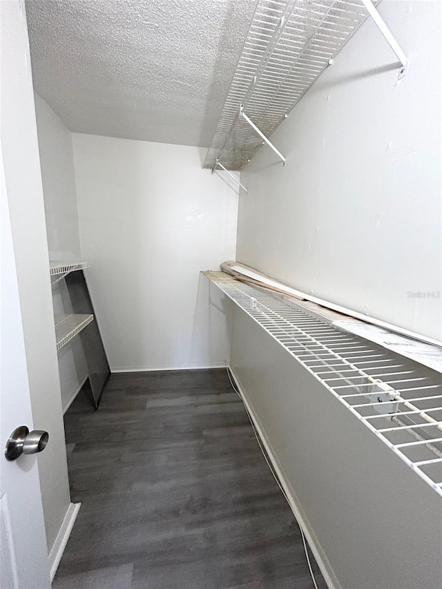7506 Presley Pl Unit 107, Tampa, FL 33617 - photo 13