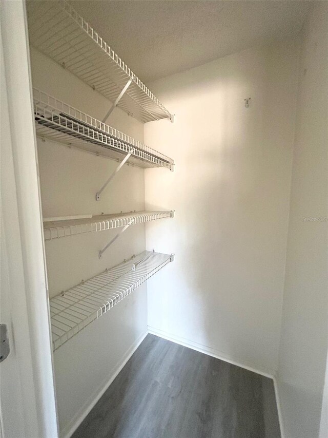 7506 Presley Pl Unit 107, Tampa, FL 33617 - photo 19