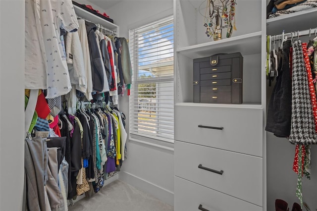 walk in closet with carpet floors