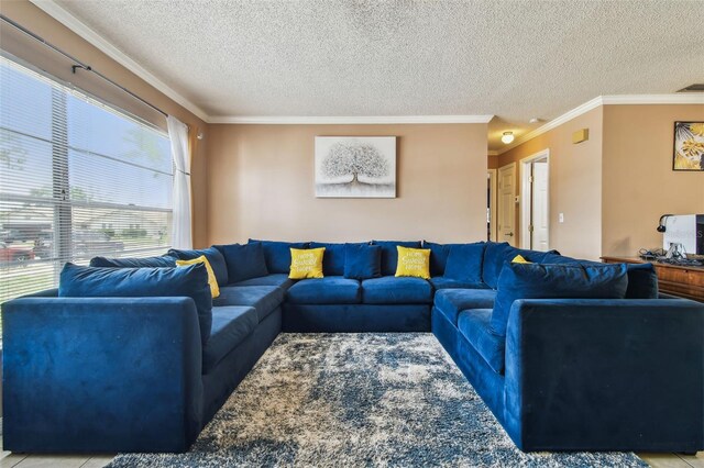 8531 Woodcrest Dr, Port Richey, FL 34668 - living area featuring crown molding and a textured ceiling