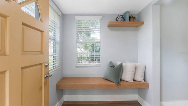 1715 N Alexander Rd, Tampa, FL 33603 - mudroom with baseboards, plenty of natural light, and wood finished floors
