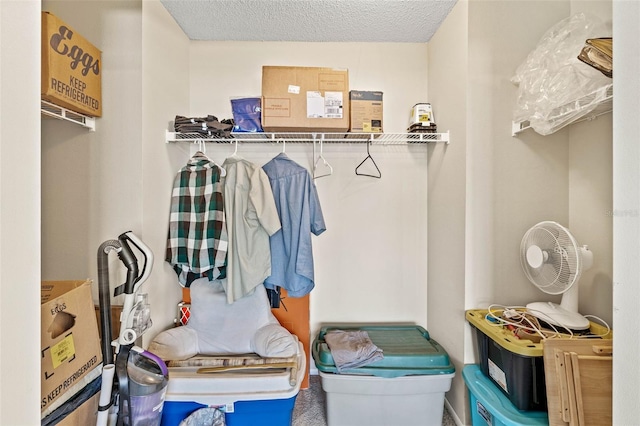732 Kensington Lake Cir, Brandon, FL 33511 - view of spacious closet
