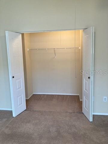 732 Kensington Lake Cir, Brandon, FL 33511 - view of closet