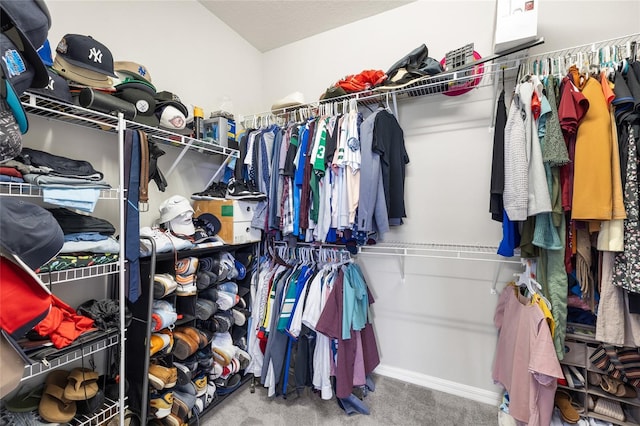 walk in closet featuring carpet flooring