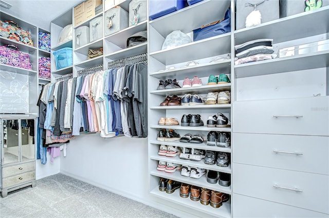 18657 Obregan Dr, Spring Hill, FL 34610 - spacious closet with carpet