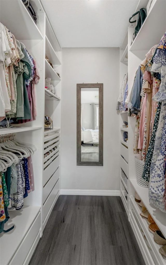 walk in closet featuring dark wood finished floors