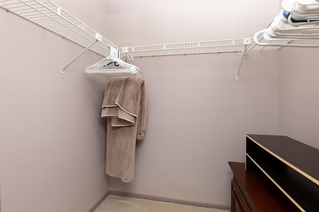 1316 Pasadena Ave S Unit 303, South Pasadena, FL 33707 - photo 22