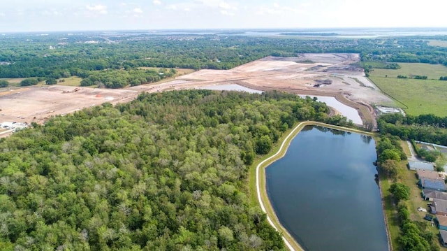 2115 Forage Dr, Kissimmee, FL 34746 - birds eye view of property featuring a water view and a forest view