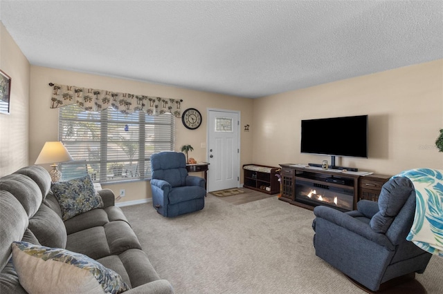 9743 36th Way N Unit 4, Pinellas Park, FL 33782 - carpeted living room featuring a textured ceiling and baseboards