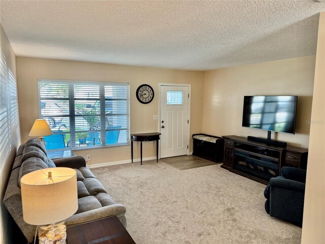9743 36th Way N Unit 4, Pinellas Park, FL 33782 - carpeted living room featuring a textured ceiling