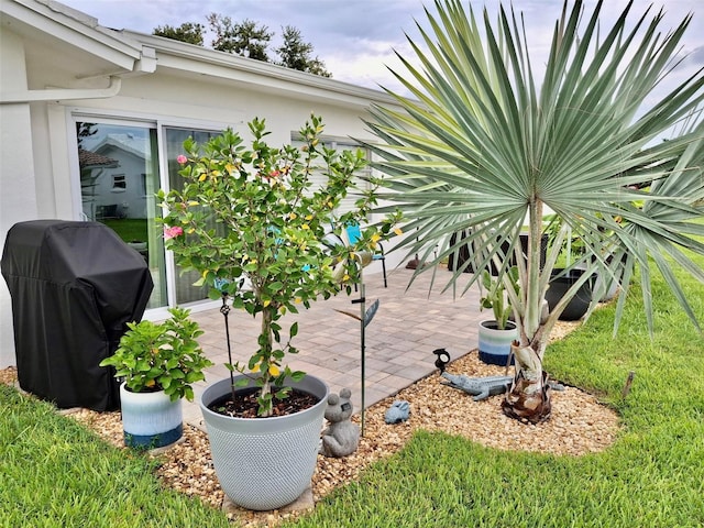 9743 36th Way N Unit 4, Pinellas Park, FL 33782 - photo 18
