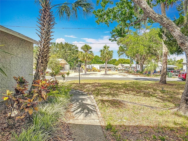 1011 SE 4th Ave, Crystal River, FL 34429 - view of yard