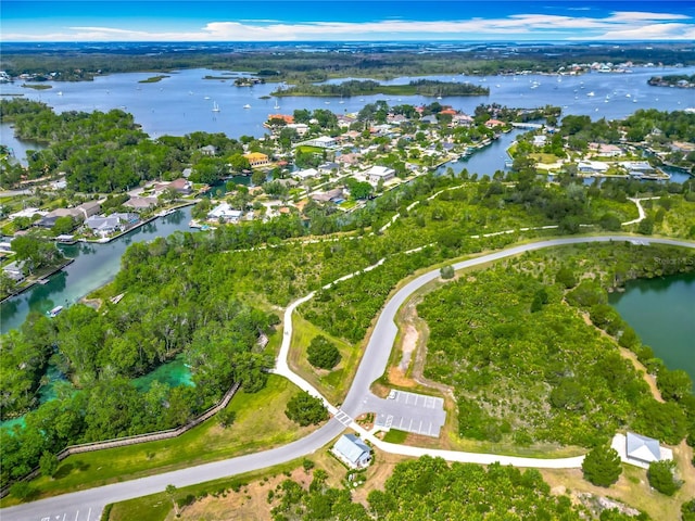 1011 SE 4th Ave, Crystal River, FL 34429 - birds eye view of property with a water view and a residential view