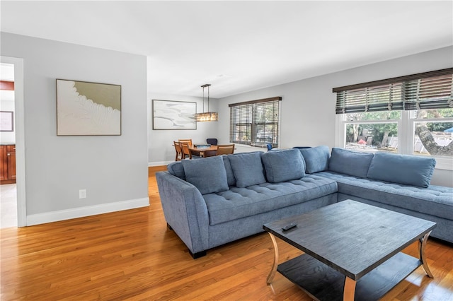 6515 Dimarco Rd, Tampa, FL 33634 - living area with light wood-style floors and baseboards