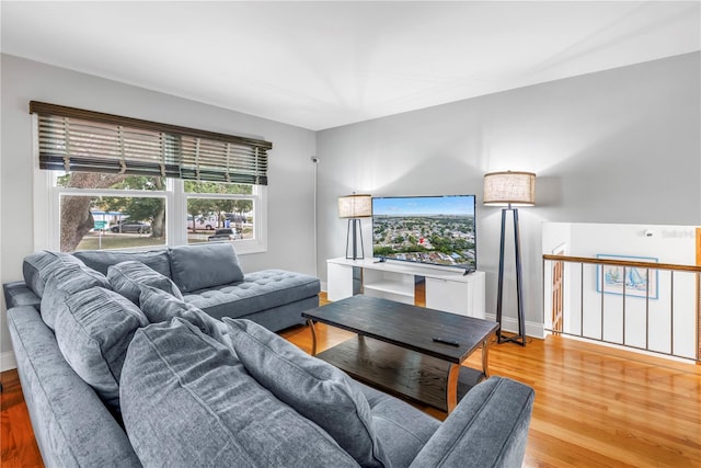 6515 Dimarco Rd, Tampa, FL 33634 - living room with light wood-type flooring and baseboards