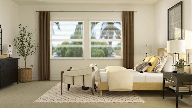 6837 E 115th St, Palmetto, FL 34221 - carpeted bedroom featuring multiple windows and baseboards