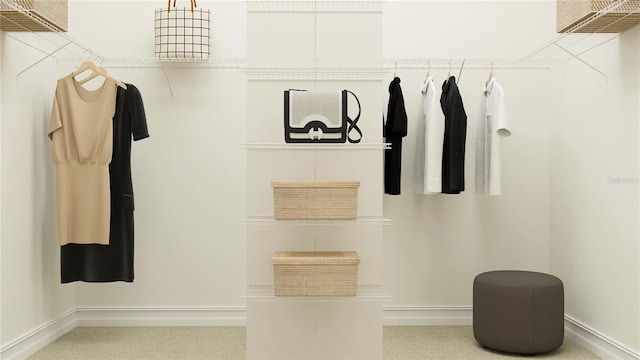 6837 E 115th St, Palmetto, FL 34221 - view of walk in closet