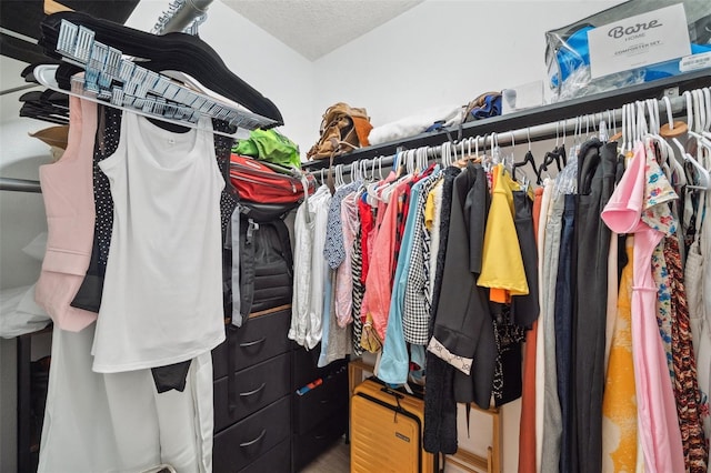 view of walk in closet