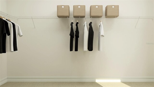 6909 E 116th Ct, Palmetto, FL 34221 - walk in closet with carpet flooring