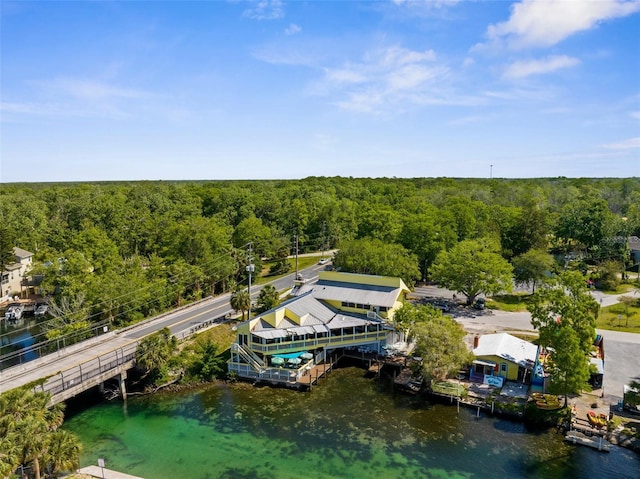 5421 Gay St, Weeki Wachee, FL 34607 - aerial view with a water view and a view of trees