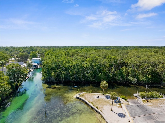 5421 Gay St, Weeki Wachee, FL 34607 - drone / aerial view featuring a water view and a forest view