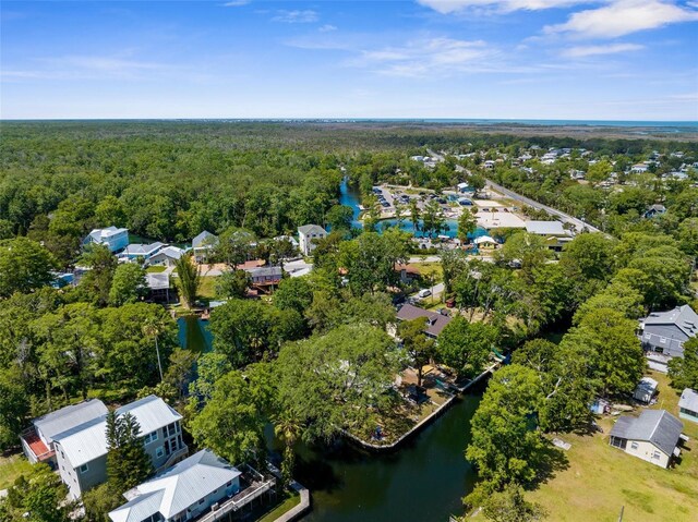 5421 Gay St, Weeki Wachee, FL 34607 - aerial view with a forest view, a water view, and a residential view