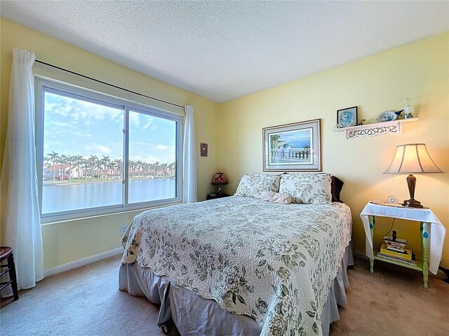 6290 Bahia Del Mar Cir Unit 12, Saint Petersburg, FL 33715 - photo 34