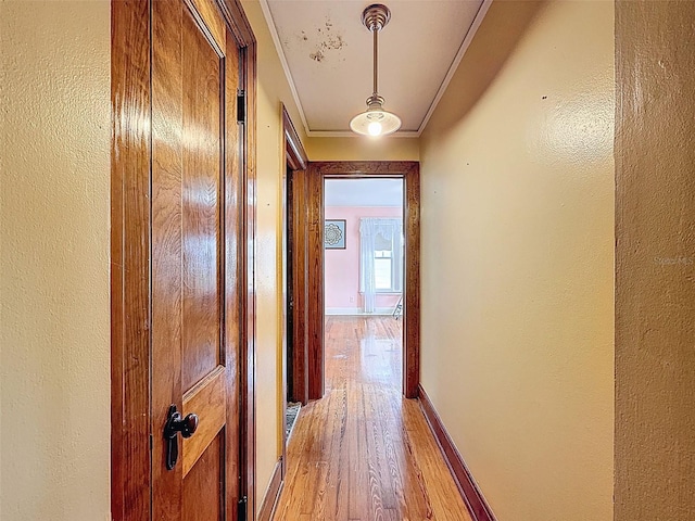 800 W Lake Elbert Dr NE, Winter Haven, FL 33881 - hallway with crown molding, light wood finished floors, and a textured wall