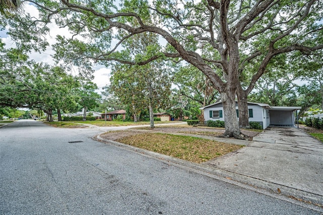 2880 81st St N, Saint Petersburg, FL 33710 - photo 5