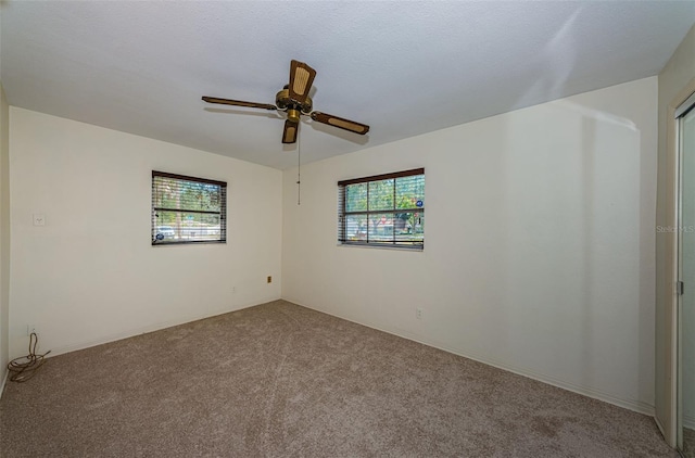 2880 81st St N, Saint Petersburg, FL 33710 - photo 20