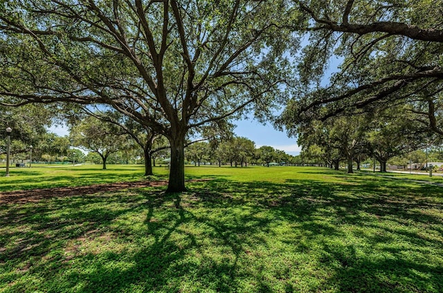 2880 81st St N, Saint Petersburg, FL 33710 - photo 33