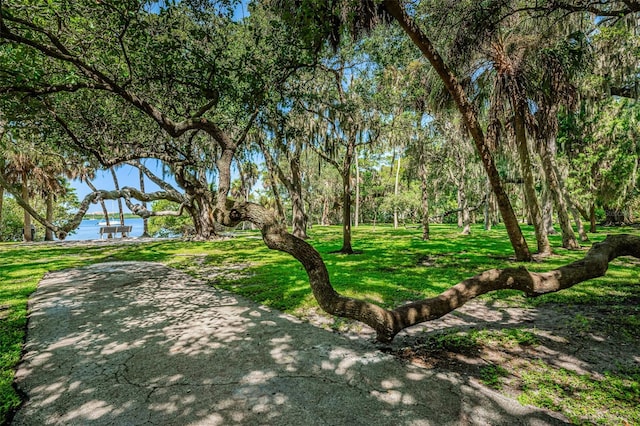2880 81st St N, Saint Petersburg, FL 33710 - photo 34