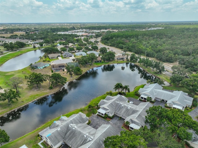 aerial perspective of suburban area with a large body of water and a forest