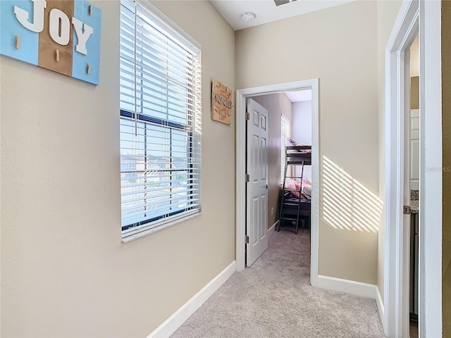 5807 Circa Fishhawk Blvd, Lithia, FL 33547 - photo 21