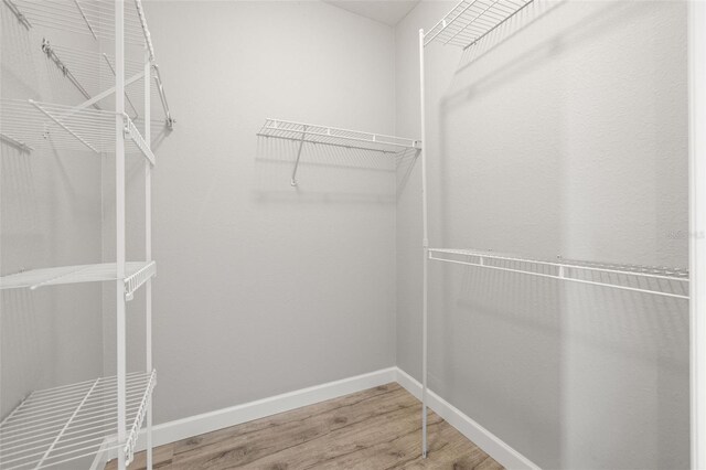 5000 Culbreath Key Way Unit 8-319, Tampa, FL 33611 - spacious closet with wood finished floors