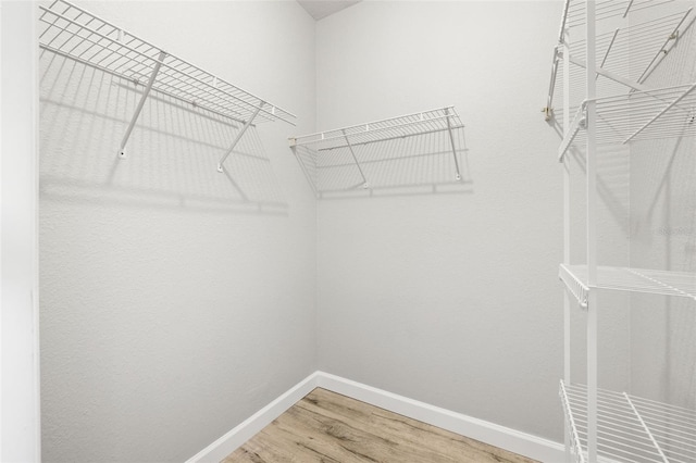 5000 Culbreath Key Way Unit 8-319, Tampa, FL 33611 - spacious closet featuring wood finished floors
