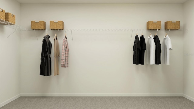 spacious closet featuring carpet floors