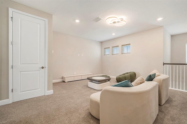 2693 Leafwing Ct, Palm Harbor, FL 34683 - photo 39