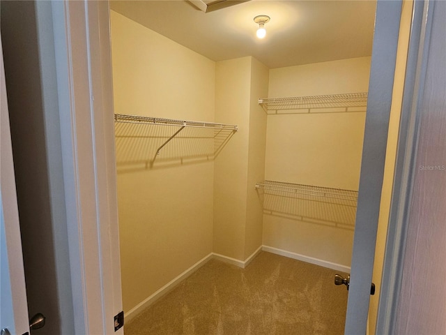 38225 Ironwood Pl Unit 38225, Zephyrhills, FL 33542 - photo 13