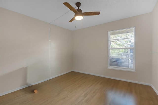 14317 Hanging Moss Cir Unit 202, Tampa, FL 33613 - photo 7